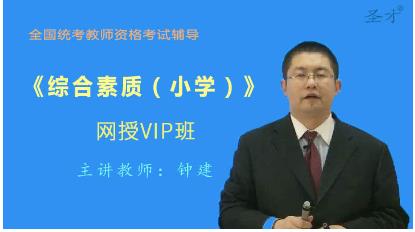 初中教师资格证视频讲解全程VIP班：初中语文网上培训在线